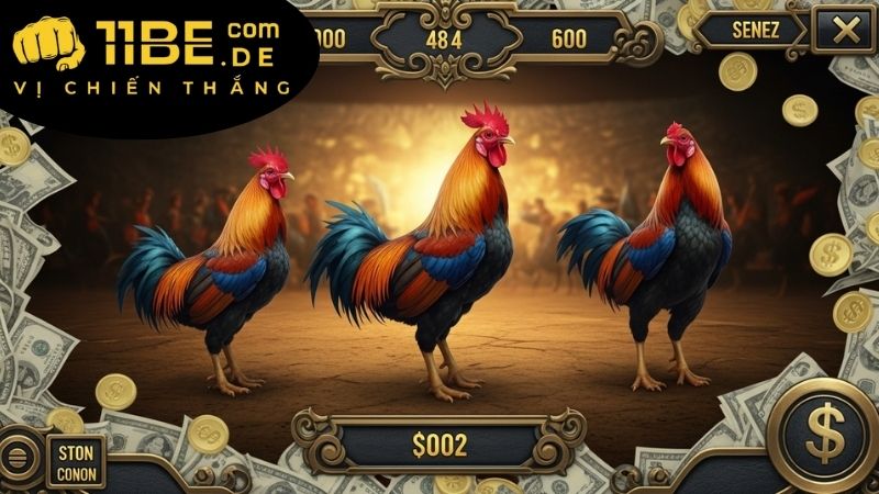 Cách tham gia đá gà 11BET