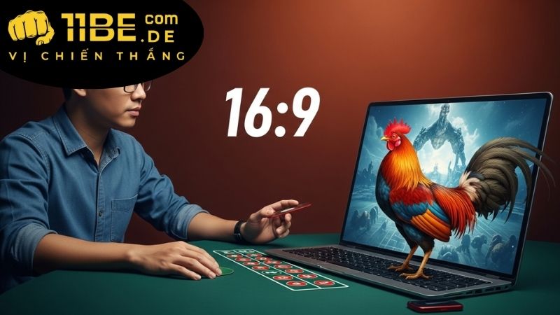 Cách theo dõi và phân tích thông tin đá gà 11BET